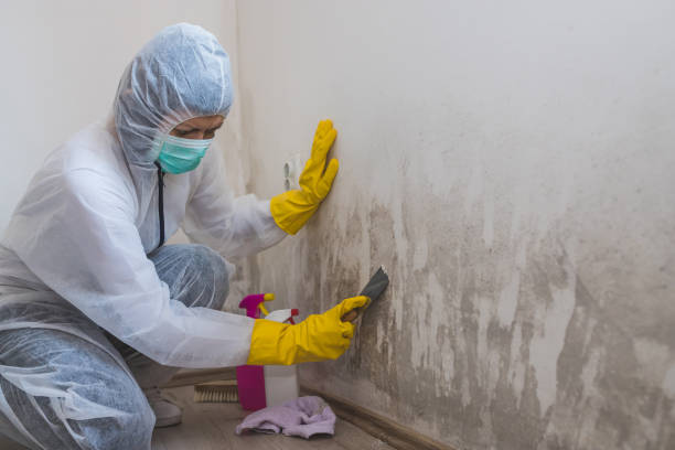 Mold Removal for HVAC Installations in Winton, CA